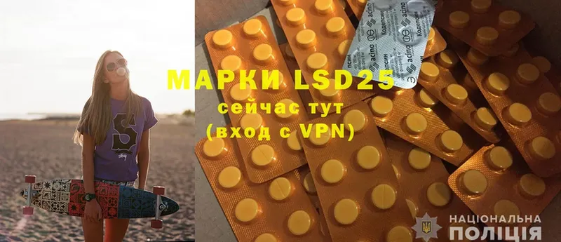 где продают наркотики  Багратионовск  LSD-25 экстази ecstasy 